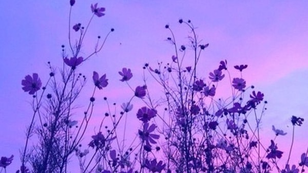 Ваш любимый цвет - фиолетовый!