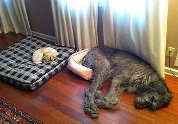 12. Кажется, они что-то перепутали