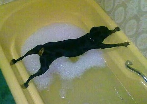 13. Хахаха! Просто без комментариев