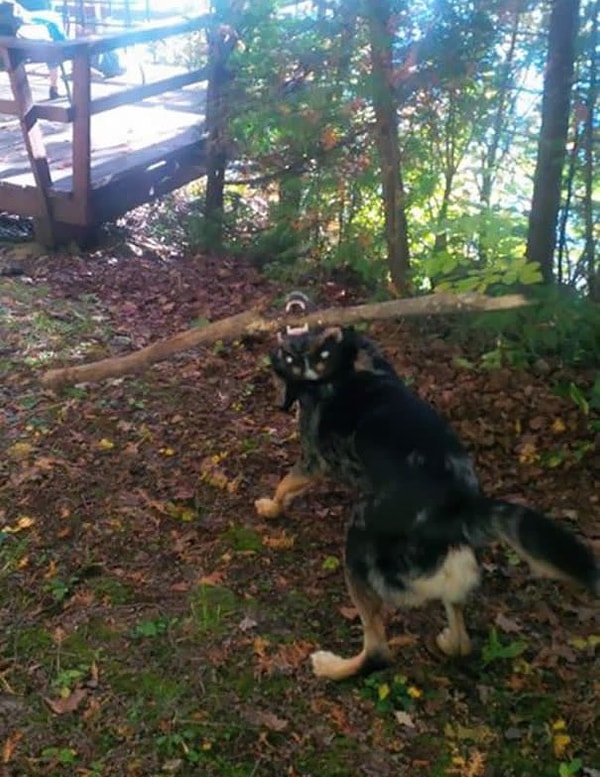 16. «По-моему, пора вызывать экзорциста»