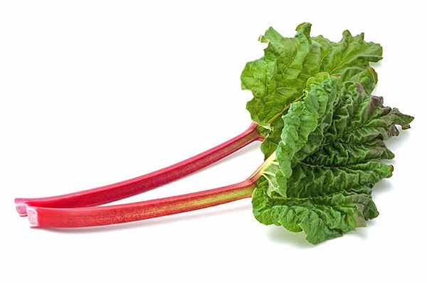 Показать правильный ответ