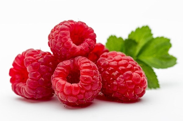 Показать правильный ответ