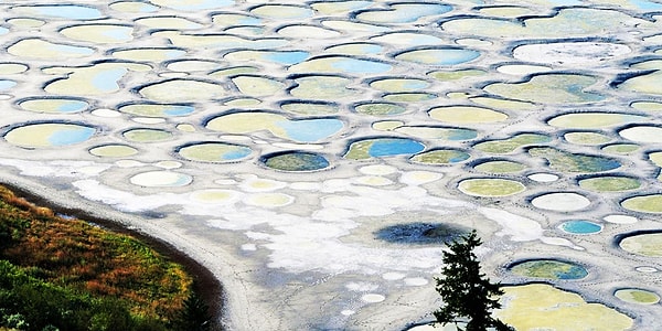 6. Пятнистое озеро