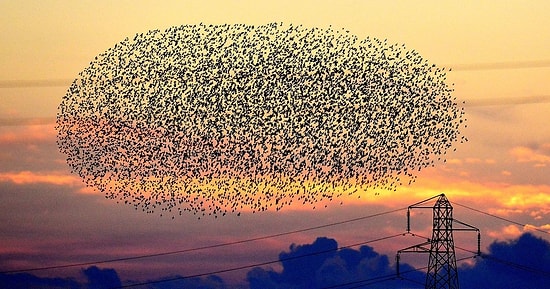 20 ошеломительных явлений природы, от которых захватывает дух