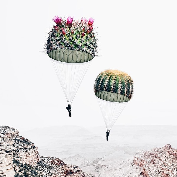 5. 🎈+🌵=💡