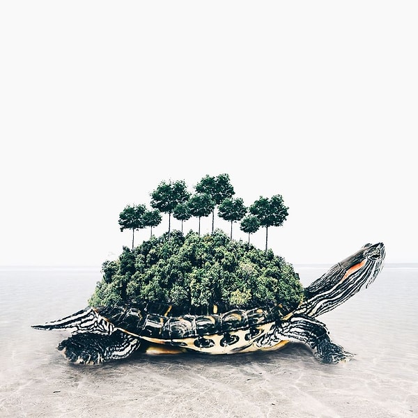 6. "Когда я была маленькая, то думала, что большие острова — это гигантские черепахи 🌴🐢"