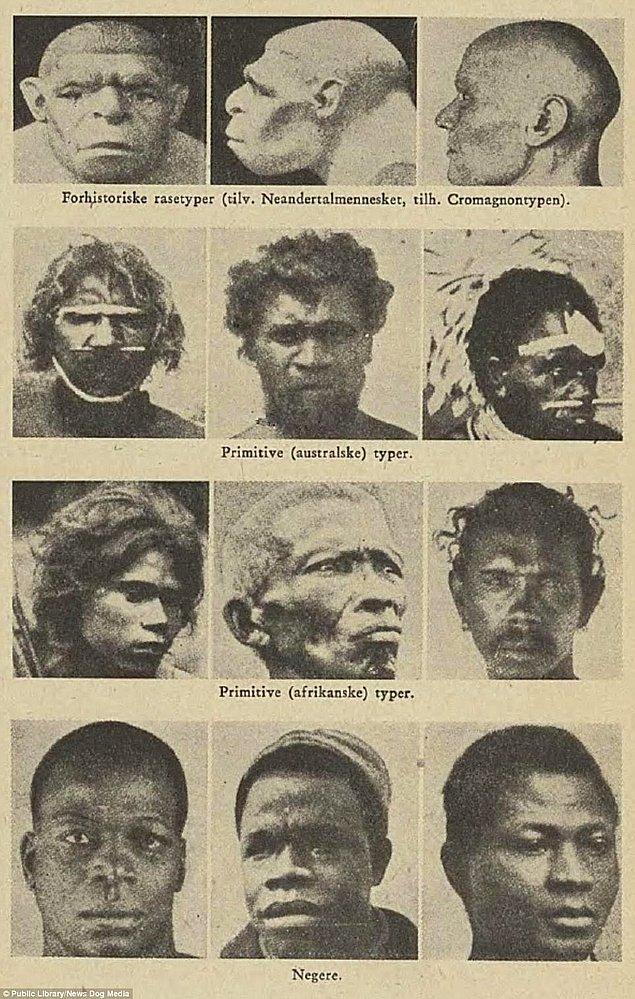 12. Bu fotoğraf serisi Avustralya, Afrika ve Neandertal 'primitif' insanların ırklarını ve ortak özelliklerini gruplandırıyor.