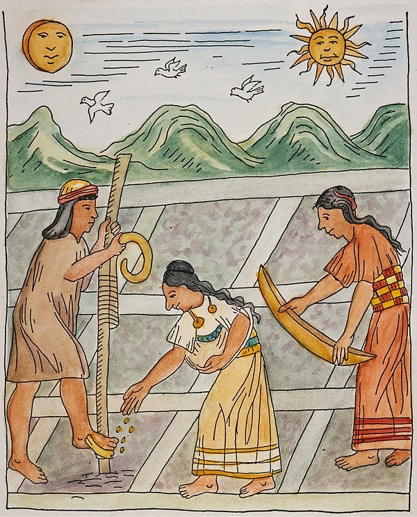 4. Они стали первыми, кто начал выращивать картофель в Перу.