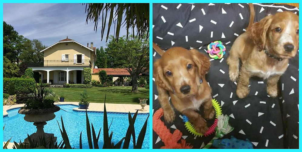 Благодаря удивительному вебсайту можно путешествовать по миру дешево, всего лишь согласившись присматривать за чужими животными