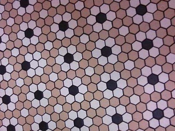 1. Есть что-нибудь в этой фотографии, от чего вы не можете на нее спокойно смотреть?