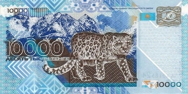 Показать правильный ответ