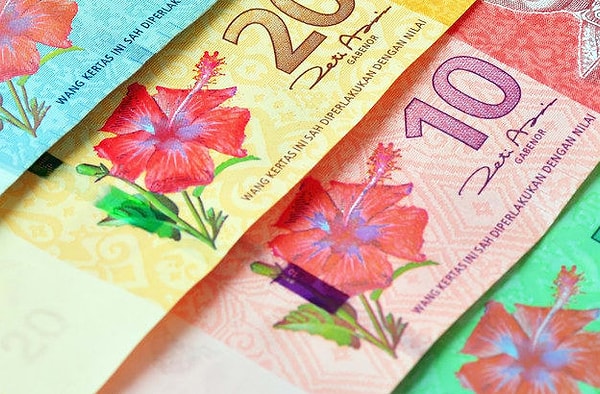 3. Какая страна использует эти деньги?