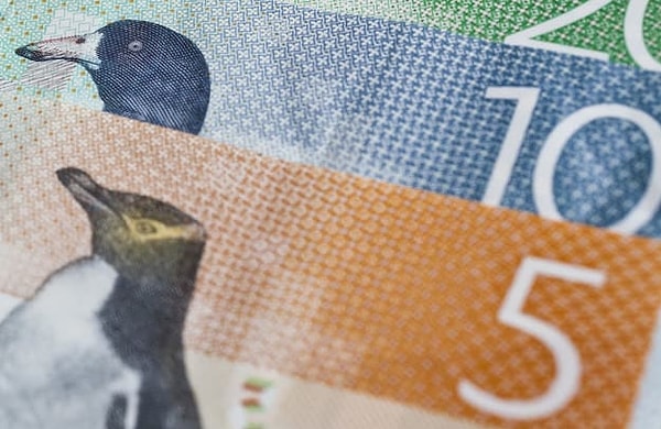 6. В какой стране вы бы могли использовать эти купюры?