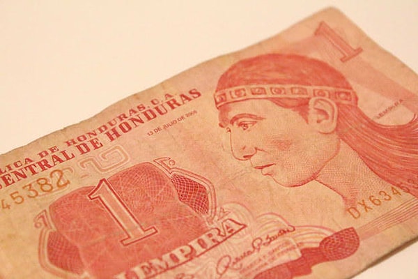 Показать правильный ответ