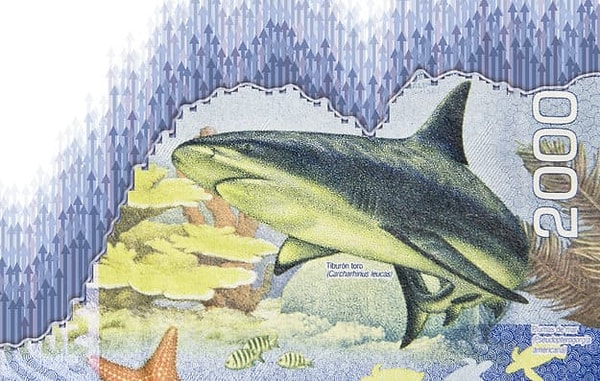 9. И последняя купюра принадлежит...?