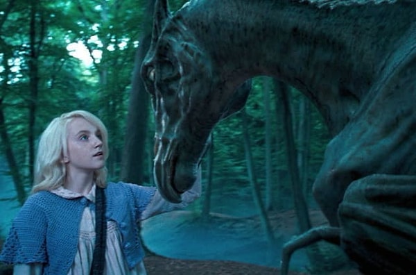 7. Эванна Линч учится гладить фестралов