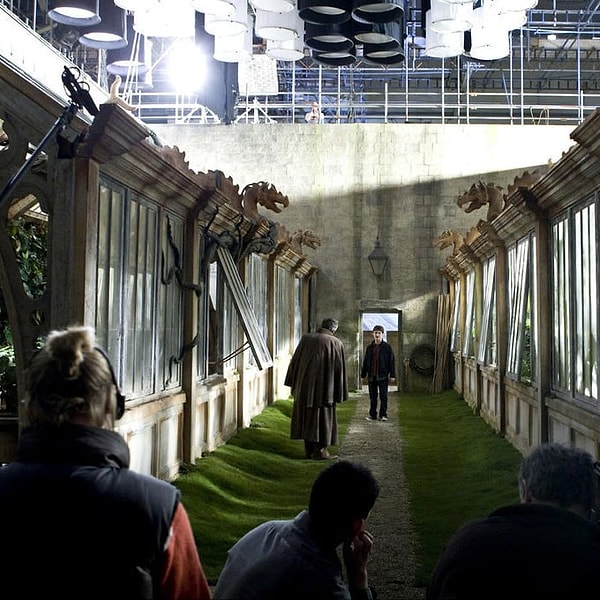 19. А здесь Джим Бробент и Дэниел Рэдклифф в крутых декорациях теплиц