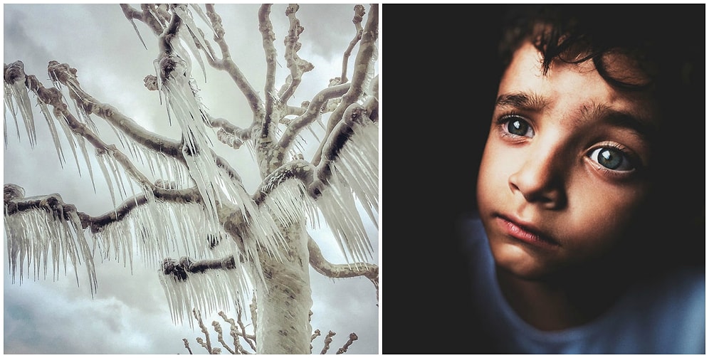 20 лучших снимков с международного конкурса фото, сделанных на iPhone