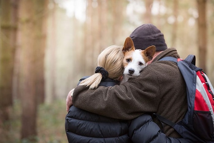 'Yılın Köpek Fotoğrafçısı Yarışması' Kazananlarını Açıkladı: Hepsi Birbirinden Patili 30 Kare