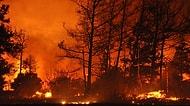 Datça'da Nedeni Belirlenemeyen Orman Yangını: 'Bir Ay Arayla İki Yangın Manidar'