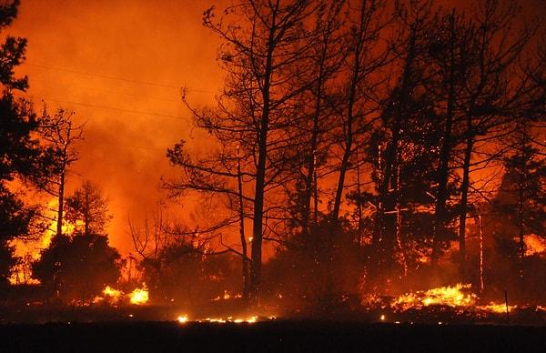 DHA'nın aktardığı bilgiye göre yangın, Emecik Mahallesi Yılancık Boğazı Mevkii'ndeki Katı Atık Depolama Tesisleri yakınlarında çıktı.