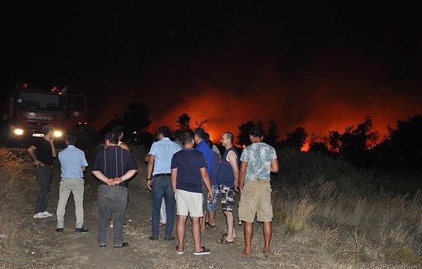 Datça Belediyesi'nin yaptığı açıklamaya göre yangına uykusunda yakalanan hayvanlar oldu 😥