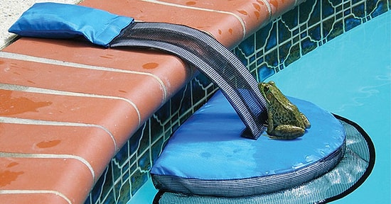 Это гениальное изобретение способно спасти животных от ужасной смерти