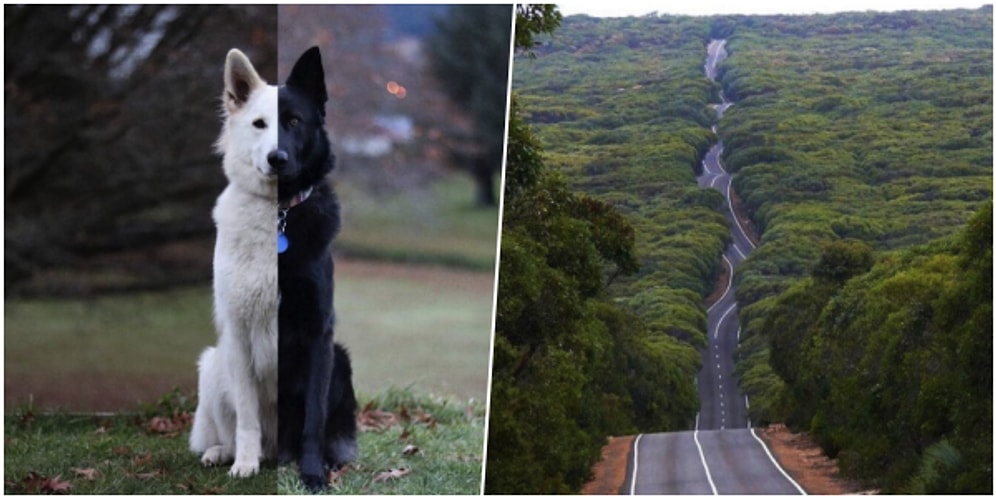 Onedio Instagram Hesabı İftiharla Sunar! Haziran Ayının En Çok Beğenilen 27 Paylaşımı