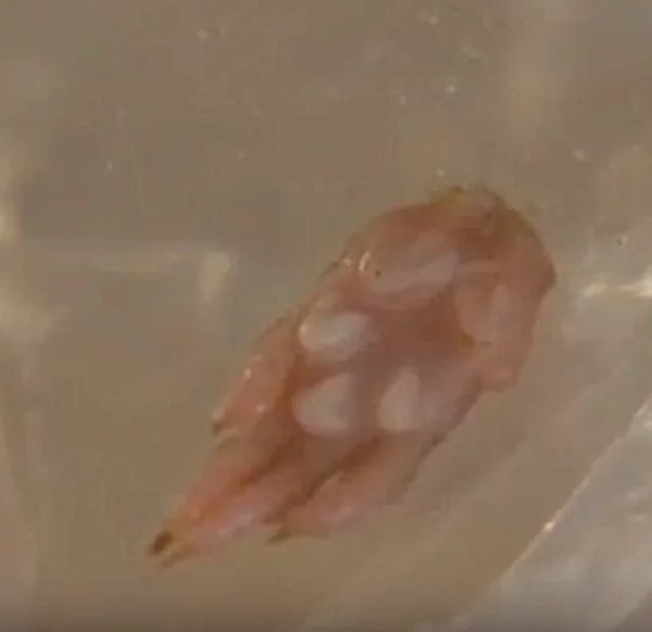 15. И еще одна