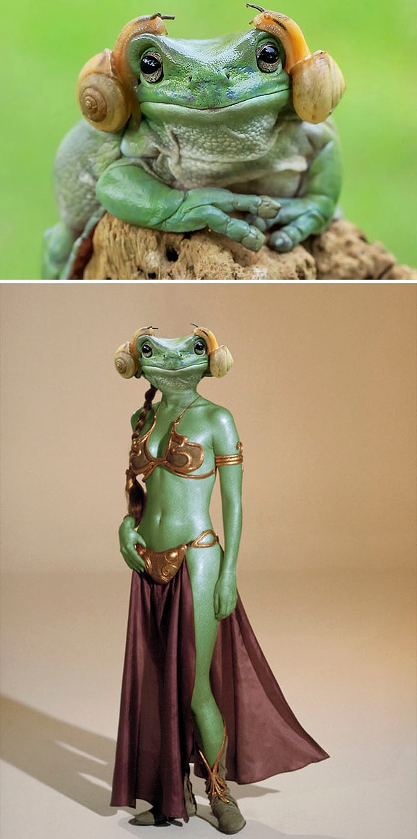 8. Принцесса Лея