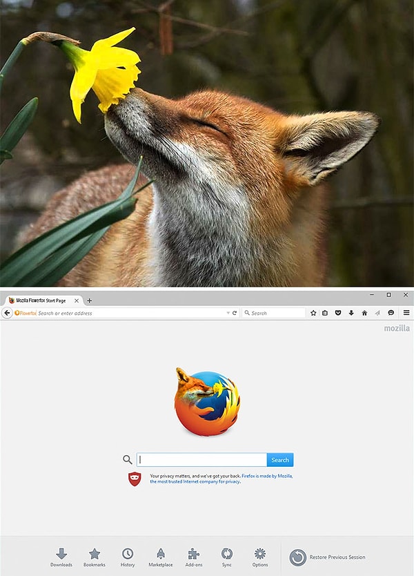 9. Новый дизайн Mozilla Firefox