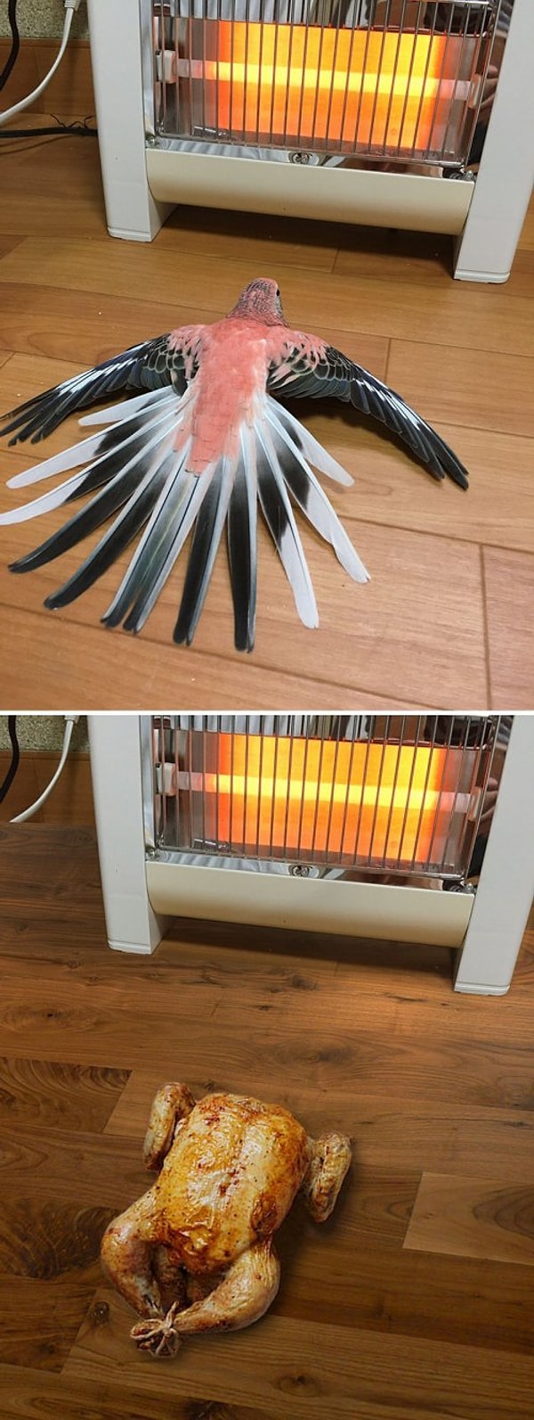 15. И аппетитная курочка