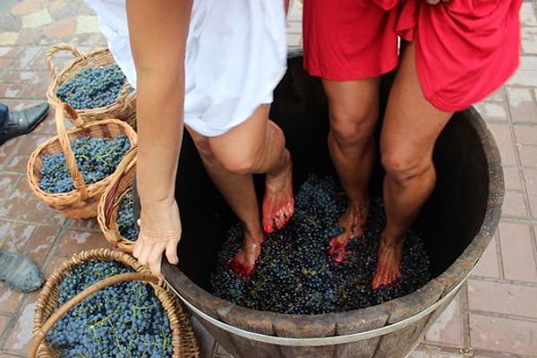 5. Цвет вина зависит от того, как долго виноградный сок контактирует с кожурой винограда.