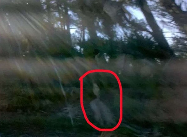 6. Обитатель острова