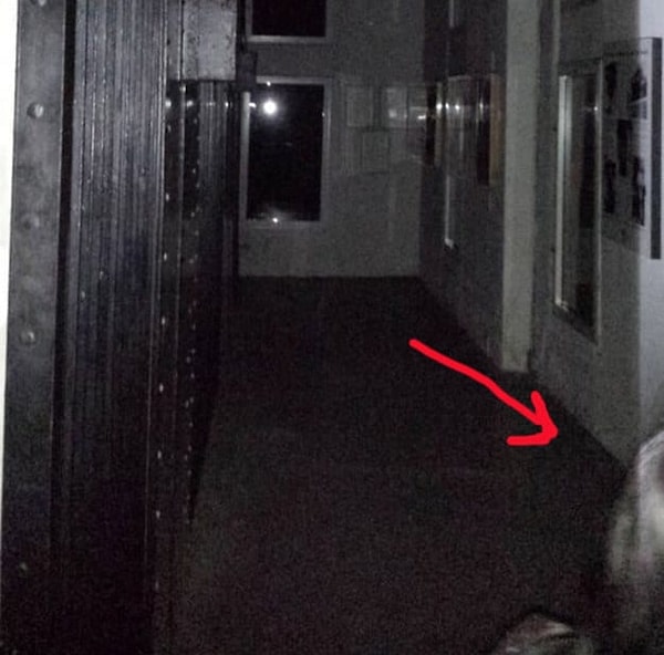 12. Несчастный арестант