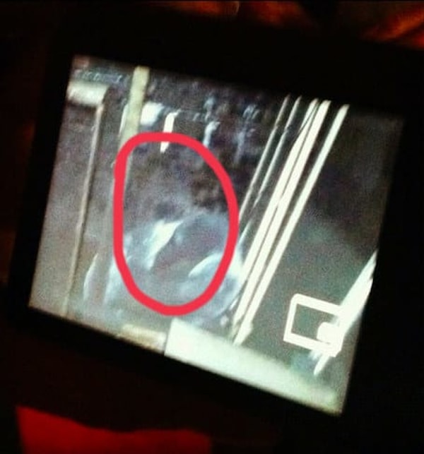 14. Обитатель старинного дома