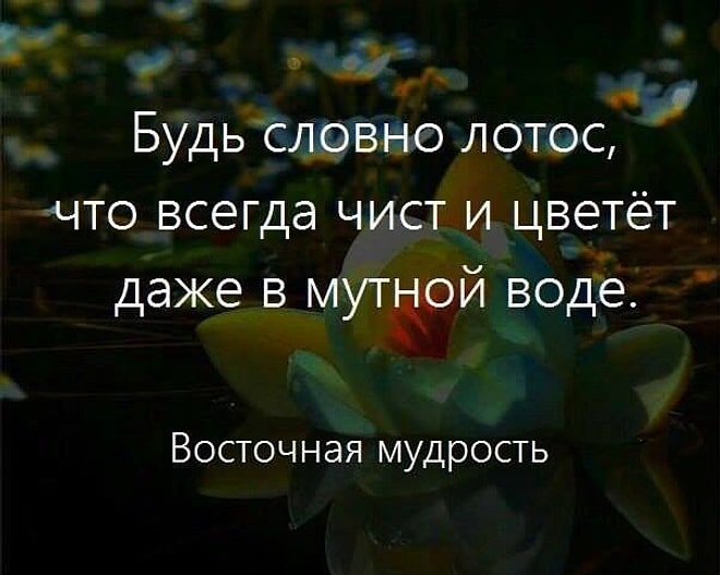 30 невероятно красивых и мудрых цитат недели, которые стоит запомнить