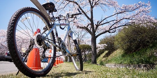 Крути педали: какой велосипед подойдет именно вам?