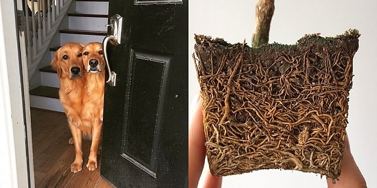 14 завораживающих фотографий, на которые можно смотреть бесконечно