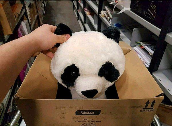 4. "Çocuk istediği panda oyuncağın kutusuna "Annemin parası olmadığı için haftaya alacak,lütfen onu almayın" diye not bırakmış, masumluk kazanmış."