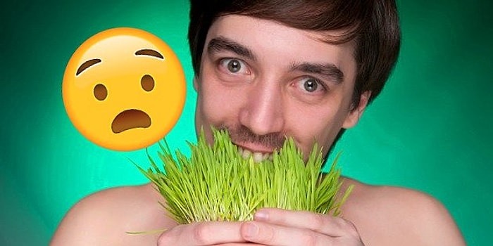 Vejetaryenlerin Keyfini Kaçıracak Araştırmaya Göre Bitkiler de Acıyı Hissedebiliyor!