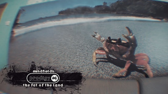 Группа "Prodigy" представили клип на песню "Mindflields", снятый в Воронеже