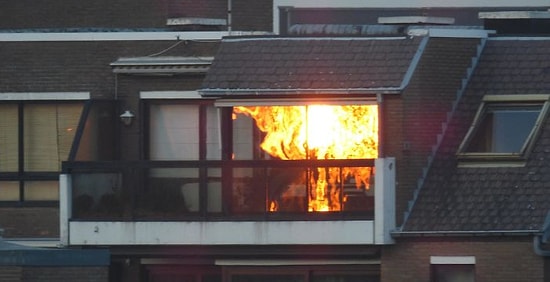 25 фото, на которые придется посмотреть дважды, чтобы понять, что на них изображено