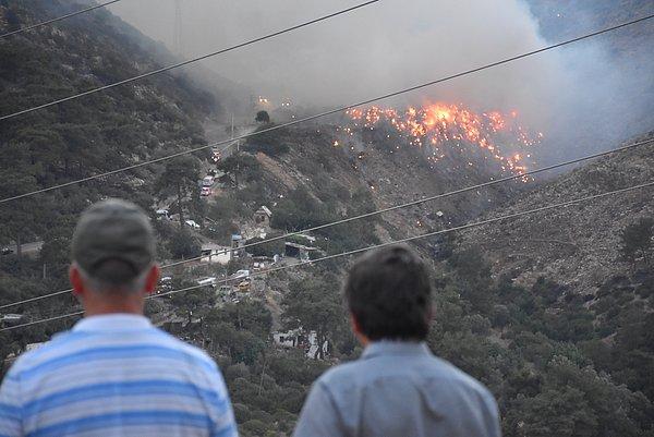 İzmir’in Menderes ilçesinde cumartesi günü makilikte başladıktan sonra rüzgarın etkisiyle ormanlık alana yayılan yangında 800 hektarlık alan kül oldu.