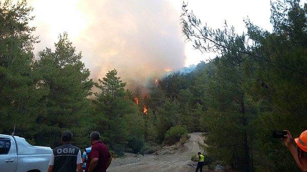 Kaş'ta dün saat 14.30'da başlayan orman yangını 25-30 hektarlık alanda etkili oldu...
