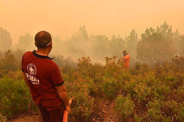 Mersin'in Anamur İlçesi'nde gelen son bilgilere göre hala devam eden orman yangınında 200 hektar kızılçam ormanı zarar gördü...