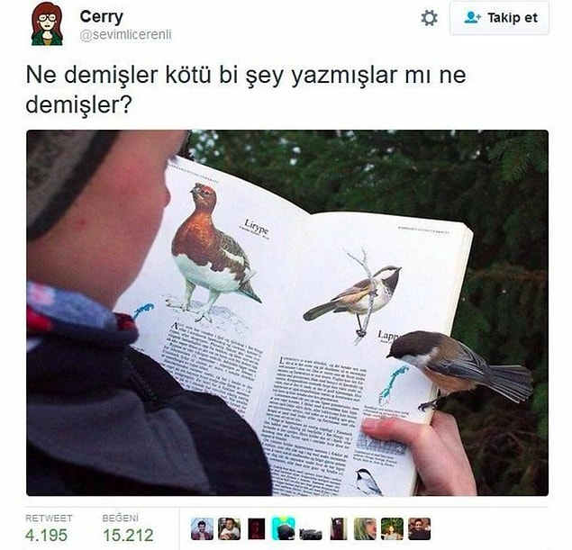 13.