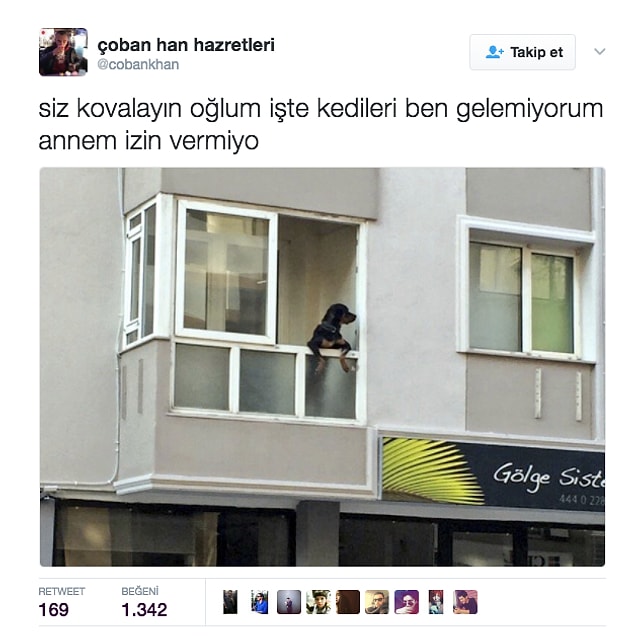 19.