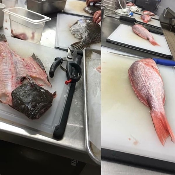 3. Всего три слова: класс по рыбе