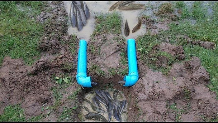 Balık Yakalamanın PVC Borularla Çok Daha Basit Bir Yolunu Bulan Kadın!